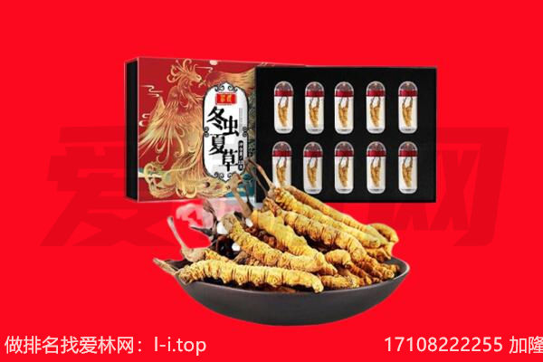 马尔康市回收虫草.jpg